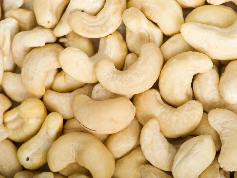 Cashew Farm Texture